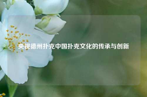 央视德州扑克中国扑克文化的传承与创新