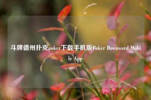 斗牌德州扑克poker下载手机版Poker Downward Mobile App