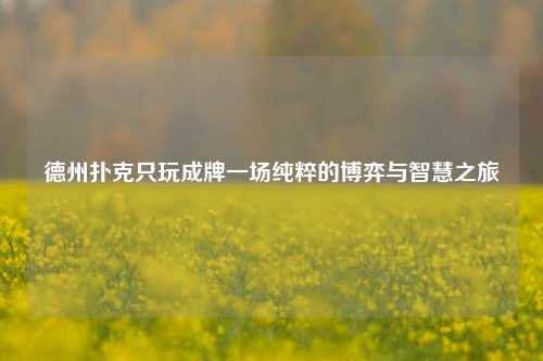 德州扑克只玩成牌一场纯粹的博弈与智慧之旅