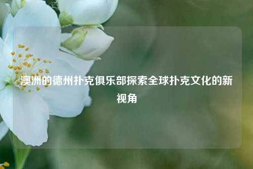澳洲的德州扑克俱乐部探索全球扑克文化的新视角