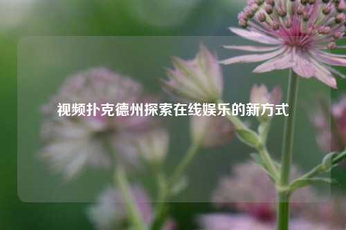 视频扑克德州探索在线娱乐的新方式
