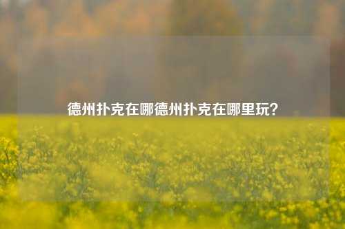德州扑克在哪德州扑克在哪里玩？