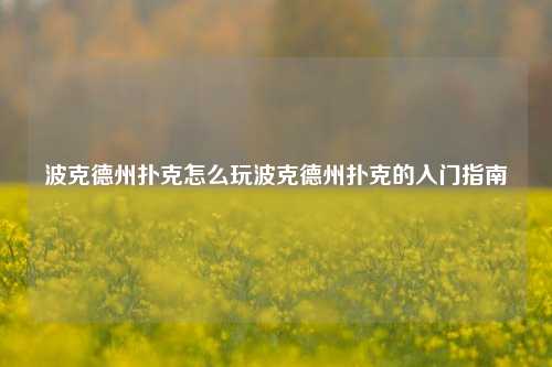 波克德州扑克怎么玩波克德州扑克的入门指南
