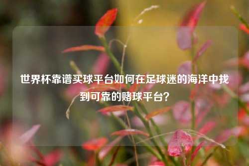 世界杯靠谱买球平台如何在足球迷的海洋中找到可靠的赌球平台？