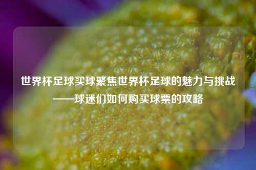 世界杯足球买球聚焦世界杯足球的魅力与挑战——球迷们如何购买球票的攻略