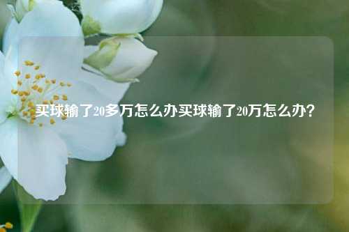 买球输了20多万怎么办买球输了20万怎么办？