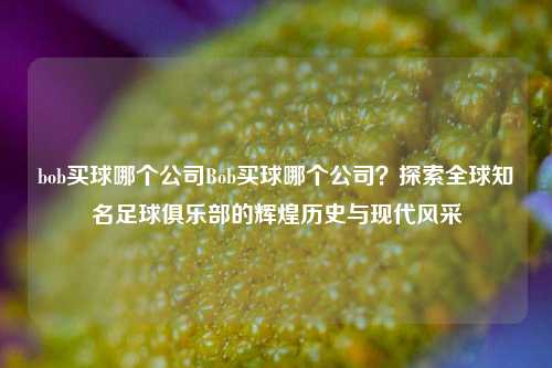 bob买球哪个公司Bob买球哪个公司？探索全球知名足球俱乐部的辉煌历史与现代风采