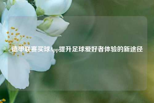 德甲联赛买球App提升足球爱好者体验的新途径