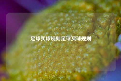 足球买球规则足球买球规则