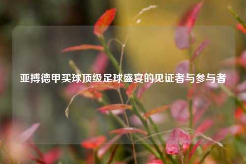 亚搏德甲买球顶级足球盛宴的见证者与参与者