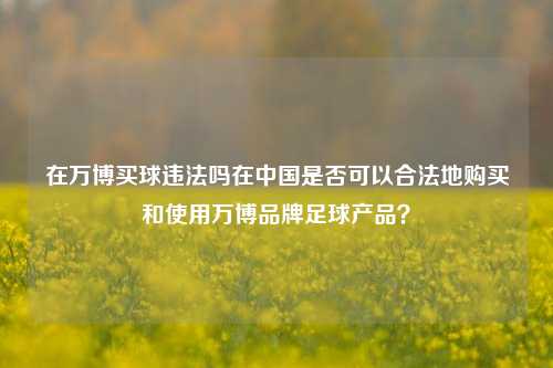 在万博买球违法吗在中国是否可以合法地购买和使用万博品牌足球产品？