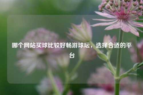哪个网站买球比较好畅游球坛，选择合适的平台
