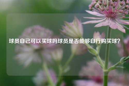 球员自己可以买球吗球员是否能够自行购买球？