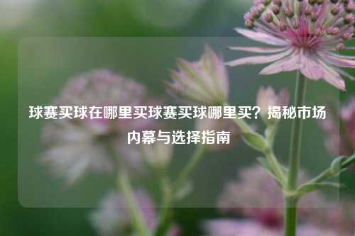 球赛买球在哪里买球赛买球哪里买？揭秘市场内幕与选择指南