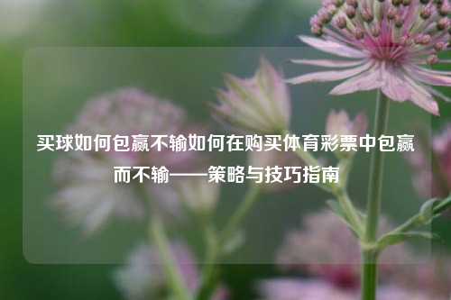 买球如何包赢不输如何在购买体育彩票中包赢而不输——策略与技巧指南