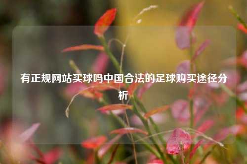 有正规网站买球吗中国合法的足球购买途径分析