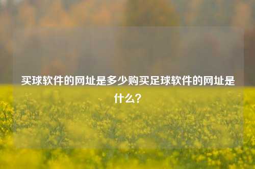 买球软件的网址是多少购买足球软件的网址是什么？