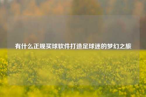 有什么正规买球软件打造足球迷的梦幻之旅