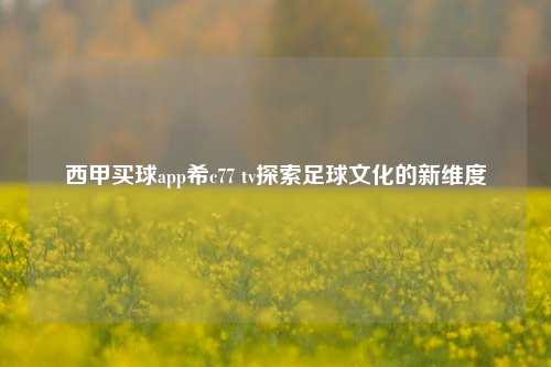 西甲买球app希c77 tv探索足球文化的新维度