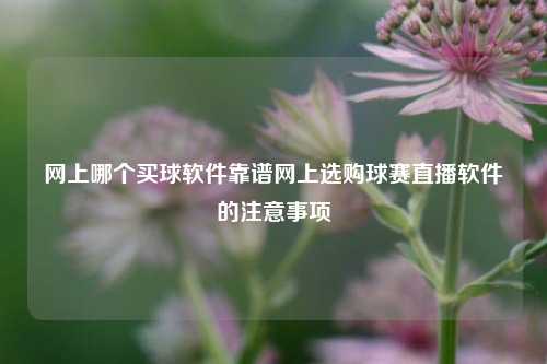 网上哪个买球软件靠谱网上选购球赛直播软件的注意事项