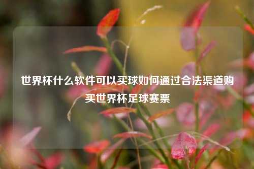 世界杯什么软件可以买球如何通过合法渠道购买世界杯足球赛票
