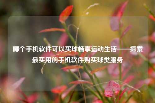哪个手机软件可以买球畅享运动生活——探索最实用的手机软件购买球类服务