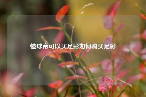 懂球帝可以买足彩如何购买足彩