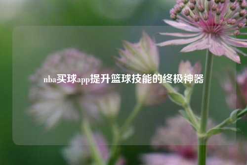 nba买球app提升篮球技能的终极神器
