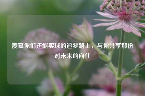 羡慕你们还能买球的追梦路上，与你共享那份对未来的向往