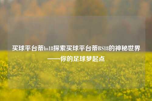 买球平台蒂bs18探索买球平台蒂BS18的神秘世界——你的足球梦起点