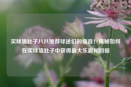 买球填肚子八八推荐球迷们的福音！揭秘如何在买球填肚子中获得最大乐趣和回报