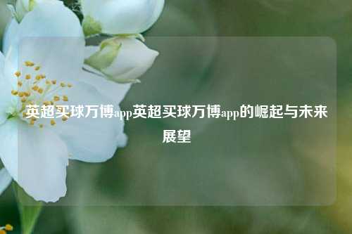英超买球万博app英超买球万博app的崛起与未来展望