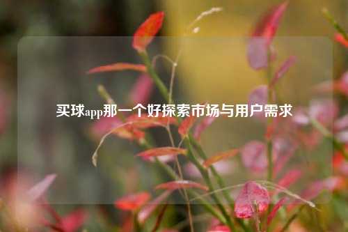 买球app那一个好探索市场与用户需求