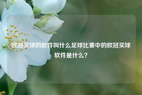 欧冠买球的软件叫什么足球比赛中的欧冠买球软件是什么？
