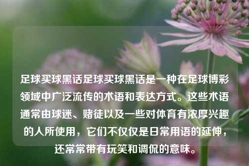 足球买球黑话足球买球黑话是一种在足球博彩领域中广泛流传的术语和表达方式。这些术语通常由球迷、赌徒以及一些对体育有浓厚兴趣的人所使用，它们不仅仅是日常用语的延伸，还常常带有玩笑和调侃的意味。