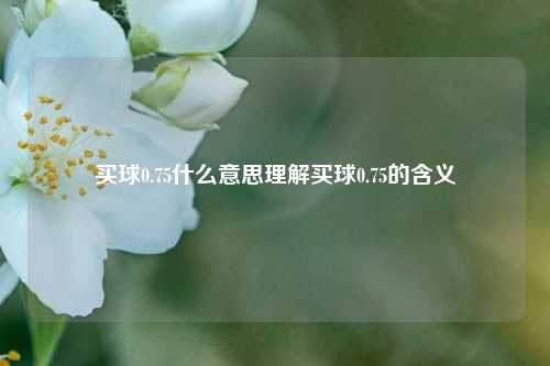买球0.75什么意思理解买球0.75的含义