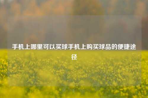手机上哪里可以买球手机上购买球品的便捷途径