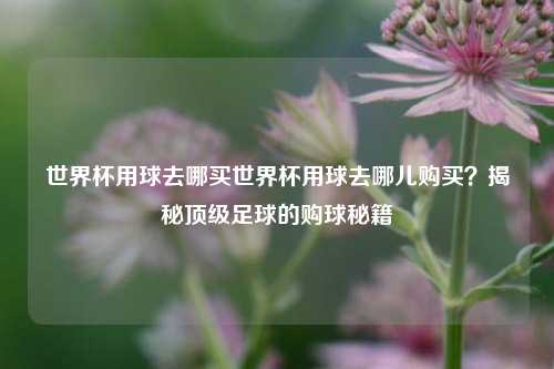 世界杯用球去哪买世界杯用球去哪儿购买？揭秘顶级足球的购球秘籍