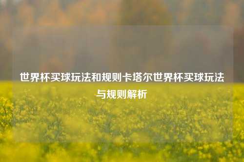世界杯买球玩法和规则卡塔尔世界杯买球玩法与规则解析