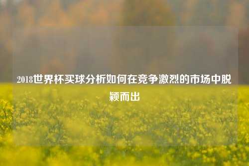 2018世界杯买球分析如何在竞争激烈的市场中脱颖而出