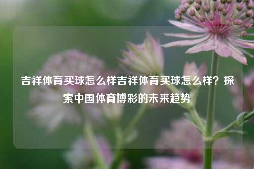吉祥体育买球怎么样吉祥体育买球怎么样？探索中国体育博彩的未来趋势