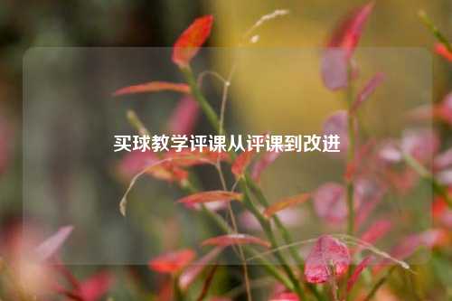 买球教学评课从评课到改进