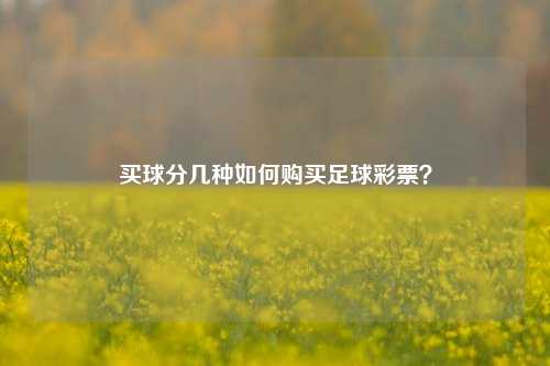 买球分几种如何购买足球彩票？